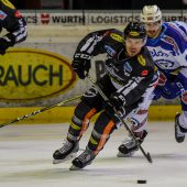 Die Bulldogs wiedermit viel Biss