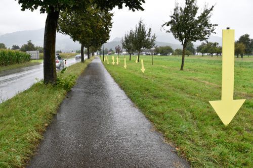 Die Aktion soll auf Littering an Straßen aufmerksam machen.  Gemeinde
