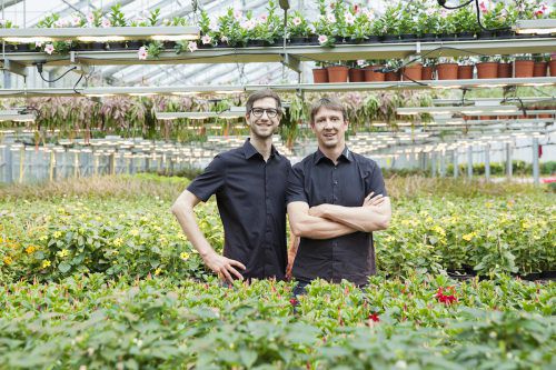 Die Firmengründer Martin Anker und David Schmidmayr sorgen im Glashaus für Wachstum. Ihr Unternehmen wächst ebenfalls. Sanlight