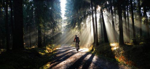 Ein Unfall mit Mountainbike beschäftigte das Zivilgericht. dpa