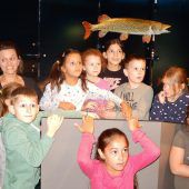 Volksschüler erkunden die inatura-Wasserwelt