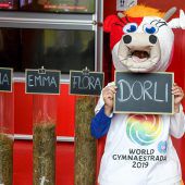 Dorli machtdas Rennen