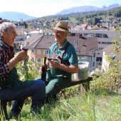 Weinlese unter der Schattenburg