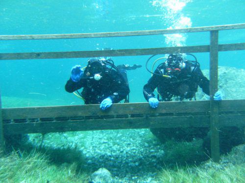 Hörbranzer Handicaptauchclub Vorarlberg: Eine Gruppe erkundete den Seegrund und genoss die Schwerelosigkeit unter Wasser.  fy