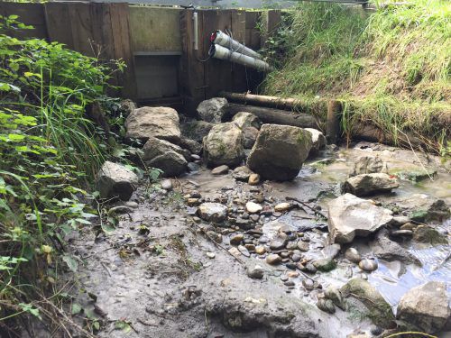 Mehrere Tage blieb die Schleuse zwischen Kleiner Ill und Gießen geschlossen. doh