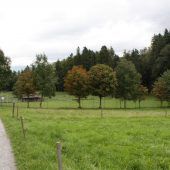 Feldkirch baut Rückhaltebecken