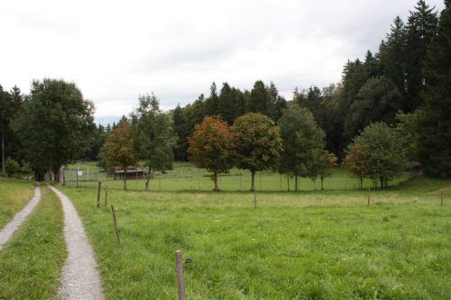 Oberhalb von Tosters wird ein Rückhaltebecken gebaut. VN/schweigkofler