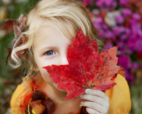 So bunt wie der Herbst ist auch die Lebenswelt von Kindern. voki
