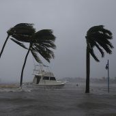 Florida in der Schockstarre