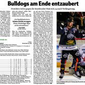Bulldogs gegen Haie