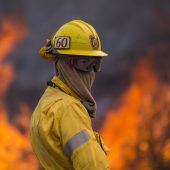 Los Angeles ruft wegen Waldbränden den Notstand aus