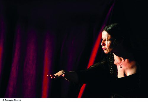 Am Sonntag findet ein irrwitziger Erzählabend rund um das Wäldarbähnle mit Katharina Ritter in Andelsbuch statt. Domagoj Blazevic