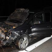 Acht Wildschweine auf Autobahn getötet