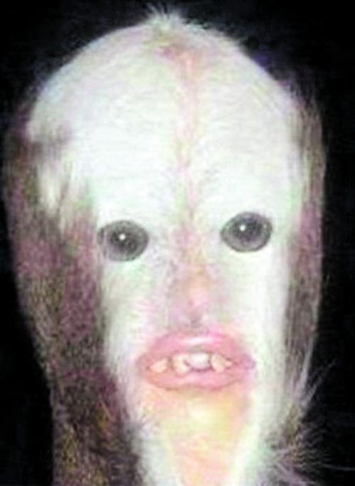 Das Profilbild von Sasha I. in seinem „VKontakte“-Profil.