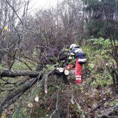 Aufräumarbeiten nach heftigem Sturm