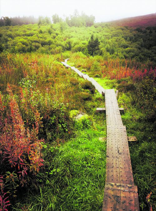 Im Cavan Burren Park gibt es auf über zehn Kilometern zahlreiche Relikte aus der prähistorischen Zeit zu entdecken.