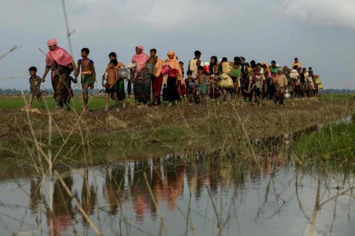 Immer mehr muslimische Rohingya suchen in Bangladesch Zuflucht vor der Gewalt in ihrer Heimat Myanmar. AFP
