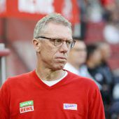 ÖFB-Coach für Stöger (noch) kein Thema
