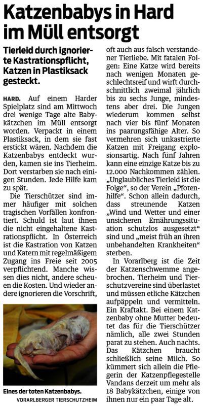 VN-Bericht vom 26. Juni 2015.