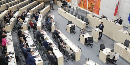 Wallner hielt im Bundesrat eine Grundsatzrede über Föderalismus, Wirtschaft, Bildung und einen erforderlichen Sparkurs. Hans Hofer