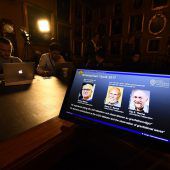 Nobelpreis für Blick auf bisher verborgene Phänomene