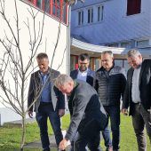 Eine Edelkastanie zum Projektauftakt