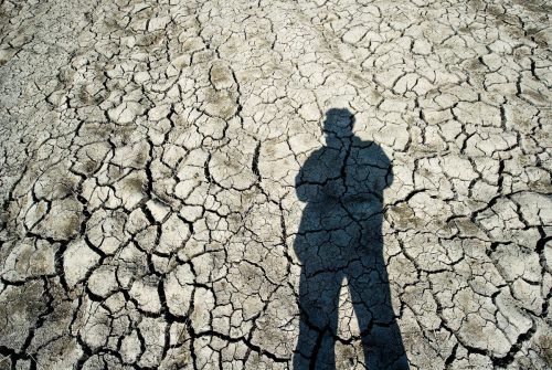 Bis 2050 könnte die Zahl der Menschen, die direkt an den Folgen von Hitzewellen leiden, eine Milliarde erreichen.