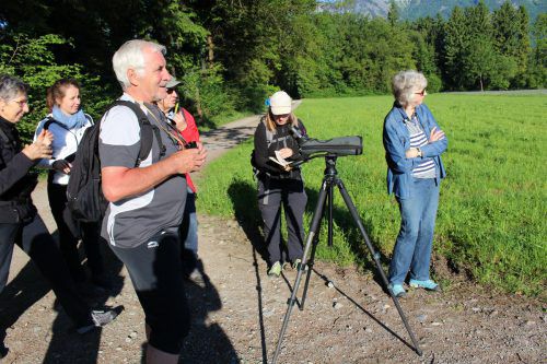 Die Exkursionen ins Natura-2000-Gebiet Matschelser Ried waren Höhepunkte des „Naturvielfalt leben“-Jahres 2017. Heilmann