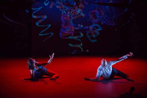 Die Kompagnie Motionhouse zeigt beim Bregenzer Frühling 2018 das Tanzstück „Charge“. dan tucker