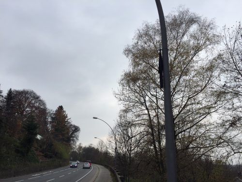 Die Wasserhähne in der Römerstraße wurden mit Trauerfloren versehen.  Bickel