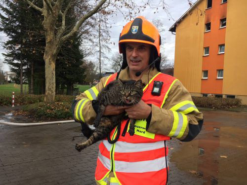 Feuerwehrkommandant Manfred Lerchenmüller (Hard) mit einer der geretteten Katzen.
