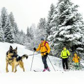 Winteridylle in ganz Vorarlberg
