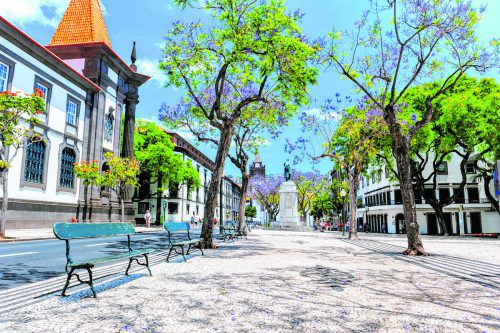Funchal ist Madeiras Hauptstadt. Ihr Name bedeutet auf Deutsch Fenchel. shutterstock (5)