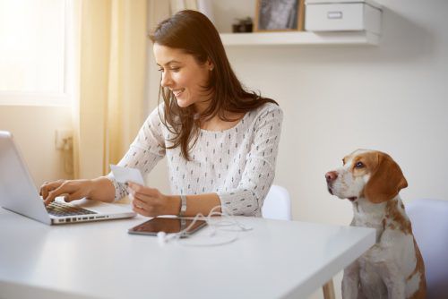 Hunde als tierische Arbeitskollegen sorgen für mehr Entspannung, weniger Stress und ein verbessertes Betriebsklima.