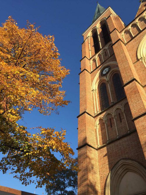 Konzert in der Herz-Jesu-Kirche. T. Blank