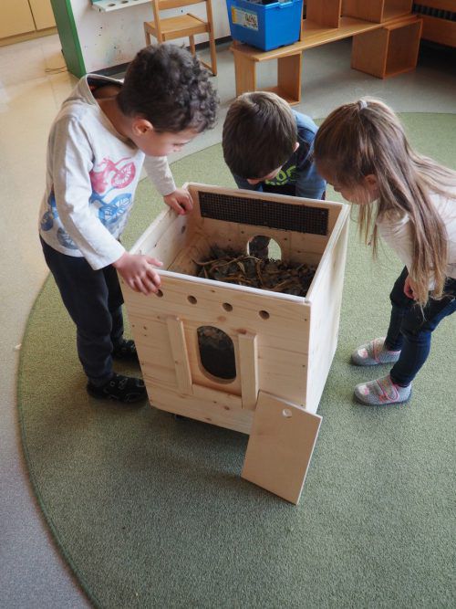 Mit der Wurmkiste lernen die Kinder viel über die Kreisläufe, die es in der Natur gibt.