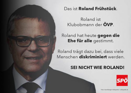 Umstrittene SPÖ-Kampagne im Internet.