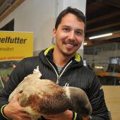 Kuschelalarm im Schorenhof