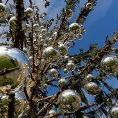 Schadenersatz für Christbaum
