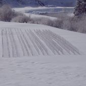 Kunst in der Landschaft