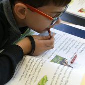 Schüler verbessern sich im Lesen