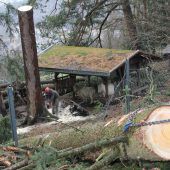 Massive Sturmschäden im Feldkircher Wildpark