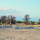 Salzpfannen und Baobabs