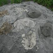 Kunstweg ohne Ablaufdatum