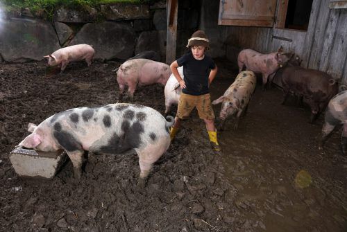 Die Vorarlberger Landwirtschaftskammer hofft, dass der Familienbonus im Sinne bäuerlicher Familien weiterentwickelt wird. Ludwig Berchtold