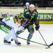 Wälder feiern Derbysieg und neue Halle
