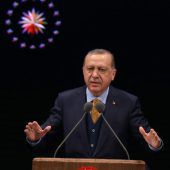 Erdogan will säubern