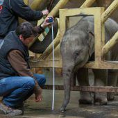 Inventur im Zoo
