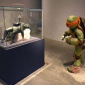 Turtle im Museum