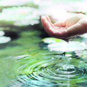 Lebendiges Wasser